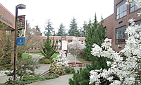 コンコーディア大学（ELS ポートランド校)　ELS Language Centers at Concordia University, Portland