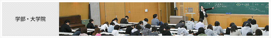 学部・大学院
