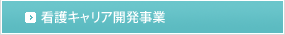 看護キャリア開発事業