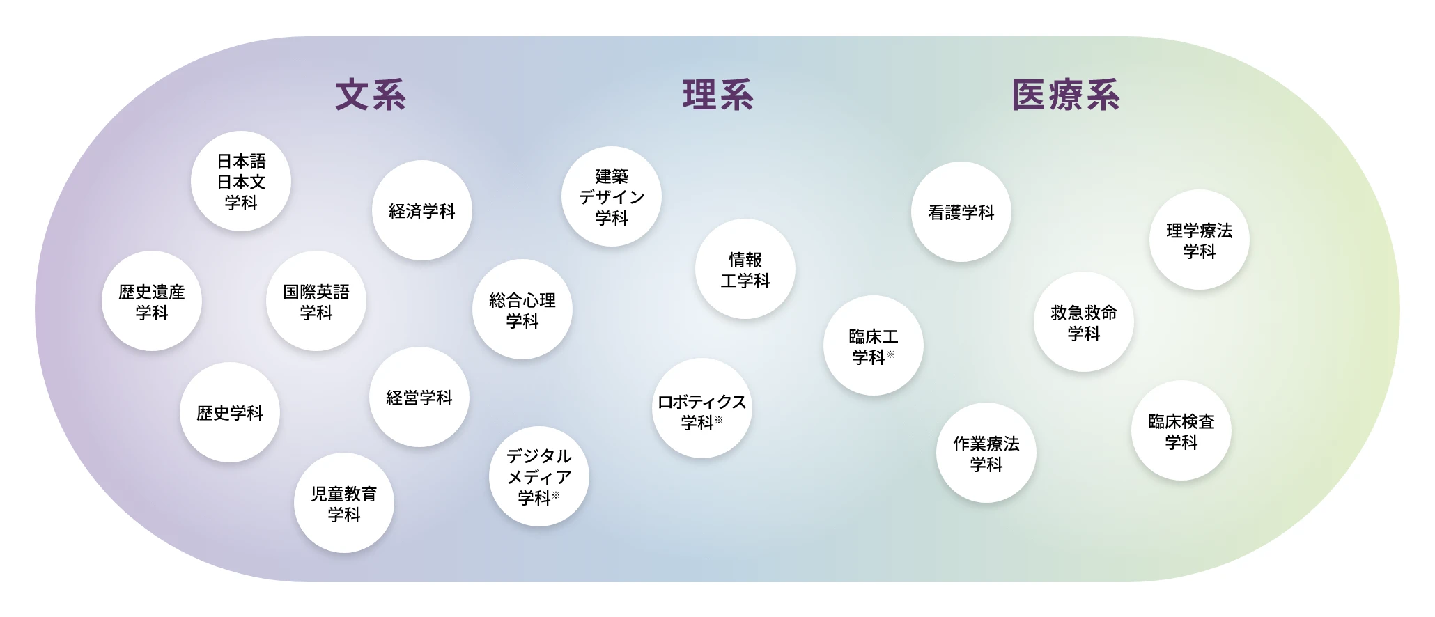 文系:日本語・日本文学科、経済学科、歴史遺産学科、国際英語学科、国際英語学科、経営学科、児童教育学科 理系:総合心理学科、情報工学科、ロボティクス学科、デジタルメディア学科、建築デザイン学科 医療:臨床工学科、看護学科、救急救命学科、理学療法学科、作業療法学科、臨床検査学科