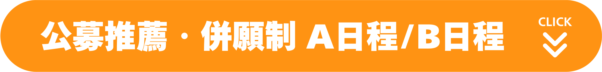 公募推薦・併願制 A日程/B日程