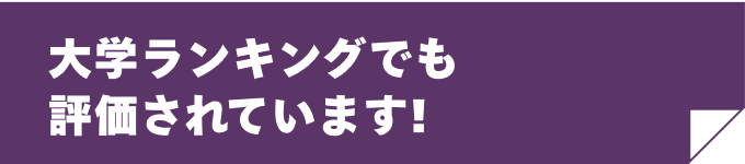 大学ランキングでも評価されています