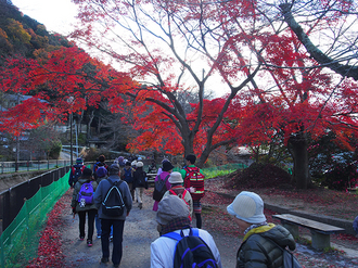 20161221walk_04.JPGのサムネイル画像