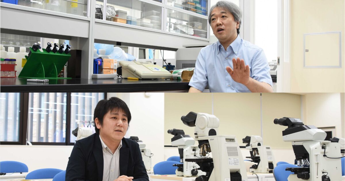 臨床検査技師 必修科目・関連科目 PCR検査で注目を集める「臨床検査技師」とは？医療の最前線で人の命と