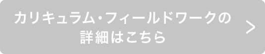 カリキュラム・フィールドワークの詳細はこちら