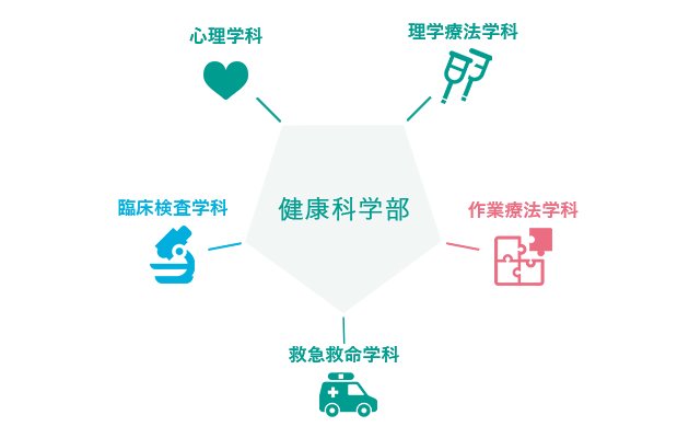 心理学科・理学療法学科・作業療法学科・救急救命学科・臨床検査学科