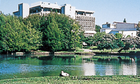 国立ワイカト大学　The University of Waikato