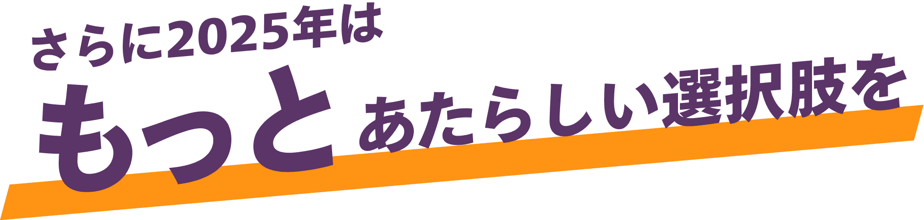 さらに2025年はもっとあたらしい選択肢を