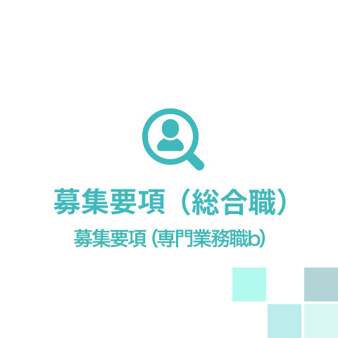 募集要項（専門業務職b）