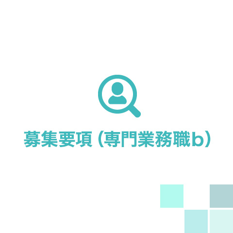 募集要項（専門業務職ｂ）