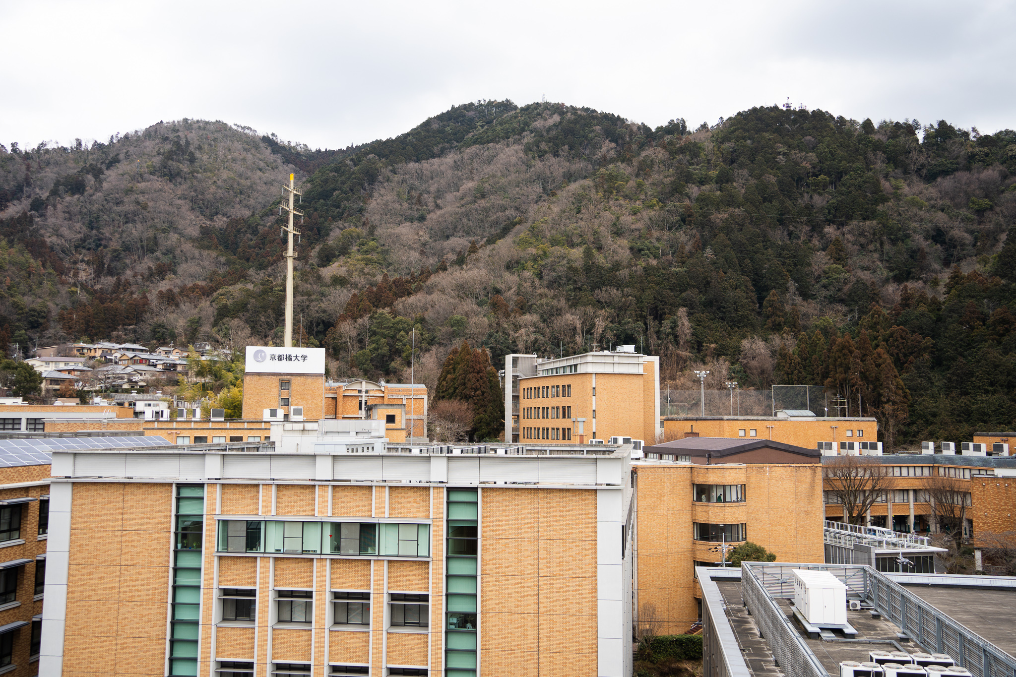 キャンパス風景