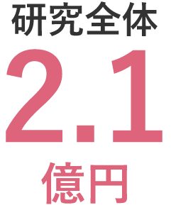 研究